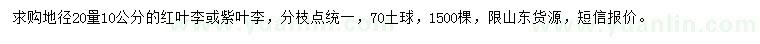 求購20量10公分紅葉李、紫葉李