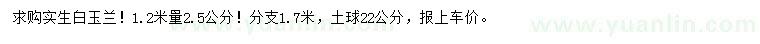 求購1.2米量2.5公分白玉蘭