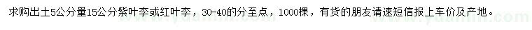 求購5公分量15公分紫葉李或紅葉李