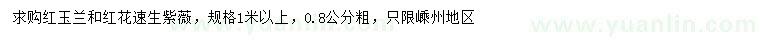 求購1米以上紅玉蘭、紅花速生紫薇 