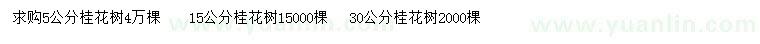 求購5、15、30公分桂花樹