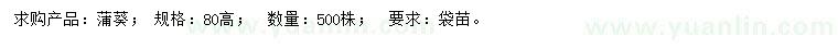 求購(gòu)高80公分蒲葵