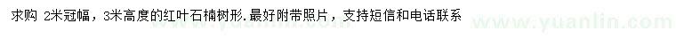 求購冠幅2米紅葉石楠