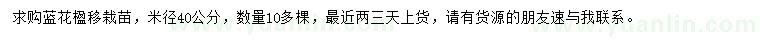 求購(gòu)米徑40公分藍(lán)花楹