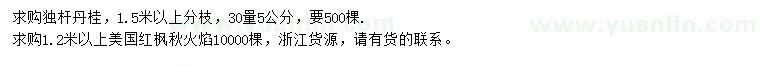 求購30量5公分獨(dú)桿丹桂、1.2米以上美國紅楓秋火焰