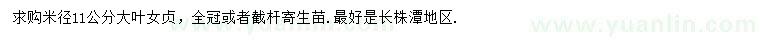 求購米徑11公分大葉女貞