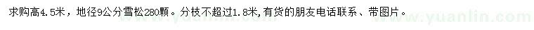 求購地徑9公分雪松