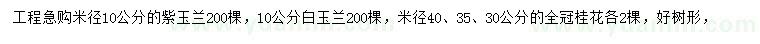 求購(gòu)紫玉蘭、白玉蘭、桂花