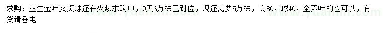 求購(gòu)高80公分金葉女貞球