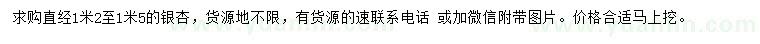 求購直徑1.2-1.5米銀杏