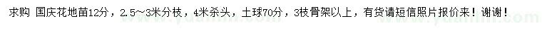 求購(gòu)12公分國(guó)慶花