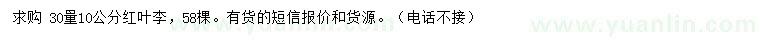 求購30量10公分紅葉李