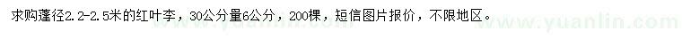 求購30公分量6公分紅葉李