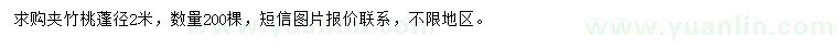 求購蓬徑2米夾竹桃