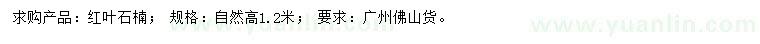 求購(gòu)高1.2米紅葉石楠
