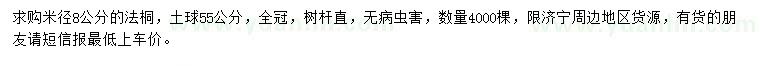 求購(gòu)米徑8公分法桐