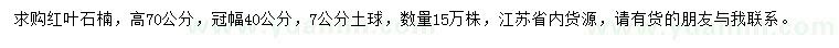 求購高70公分紅葉石楠