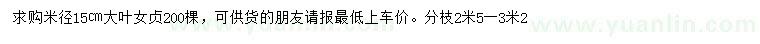 求購米徑15公分大葉女貞