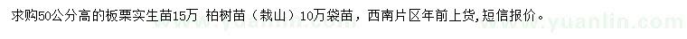 求購高50公分板栗苗、柏樹苗