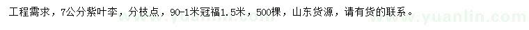 求購7公分紫葉李