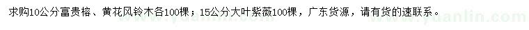 求購富貴榕、黃花風(fēng)鈴木、大葉紫薇