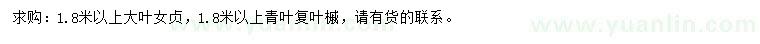 求購1.8米以上大葉女貞、青葉復(fù)葉槭