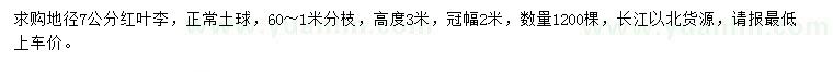 求購地徑7公分紅葉李