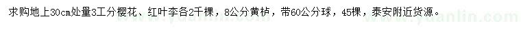 求購櫻花、紅葉李、黃櫨