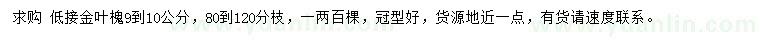 求購9-10公分金葉槐