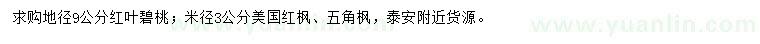 求購紅葉碧桃、美國紅楓、五角楓
