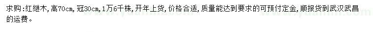 求購(gòu)高70公分紅繼木