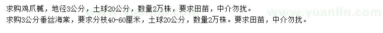 求購地徑3公分雞爪楲、垂絲海棠