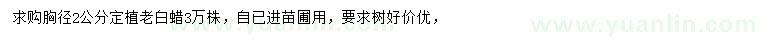 求購胸徑2公分老白蠟