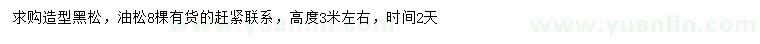 求購高3米造型黑松、油松