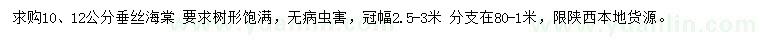 求購10、12公分垂絲海棠