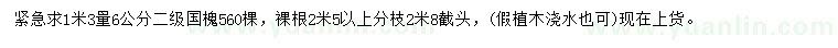 求購1.3米量6公分國槐