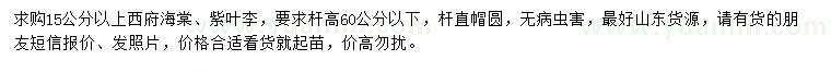 求購15公分以上西府海棠、紫葉李