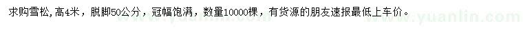 求購高4米雪松