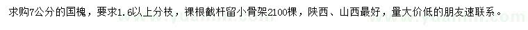 求購7公分國槐