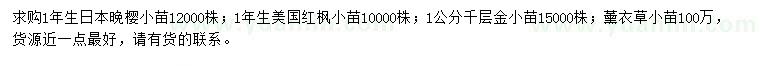 求購日本晚櫻小苗、美國紅楓小苗、千層金小苗等