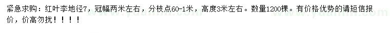 求購地徑7公分紅葉李