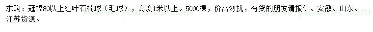 求購(gòu)冠幅80公分以上紅葉石楠球