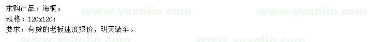 求購(gòu)120公分海桐