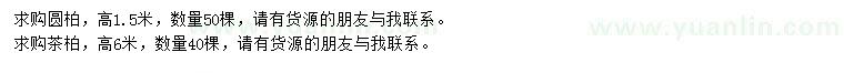 求購(gòu)高1.5米圓柏、6米茶柏