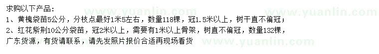 求購(gòu)5公分黃槐、10公分紅花紫荊