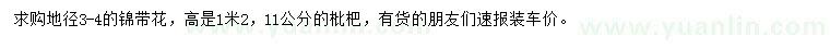 求購地徑3-4公分錦帶花、11公分枇杷