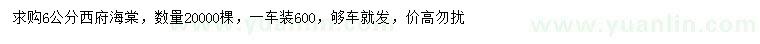 求購6公分西府海棠