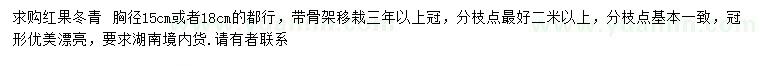 求購胸徑15、18公分紅果冬青