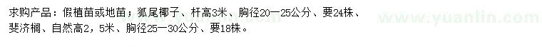 求購(gòu)胸徑20一25公分斐濟(jì)櫚