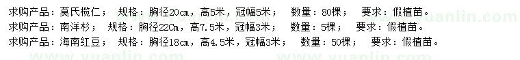 求購莫氏欖仁、南洋杉、海南紅豆